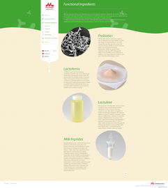 日本森永乳业 奶制品巨头的数字化展示平台